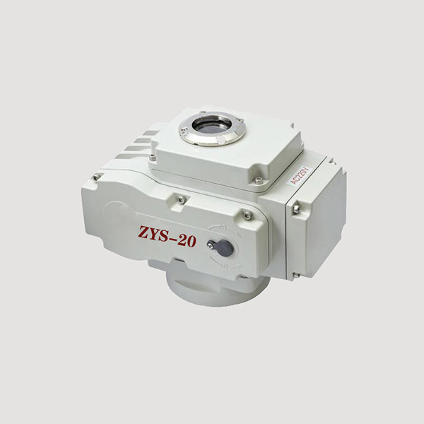 ZYS-20