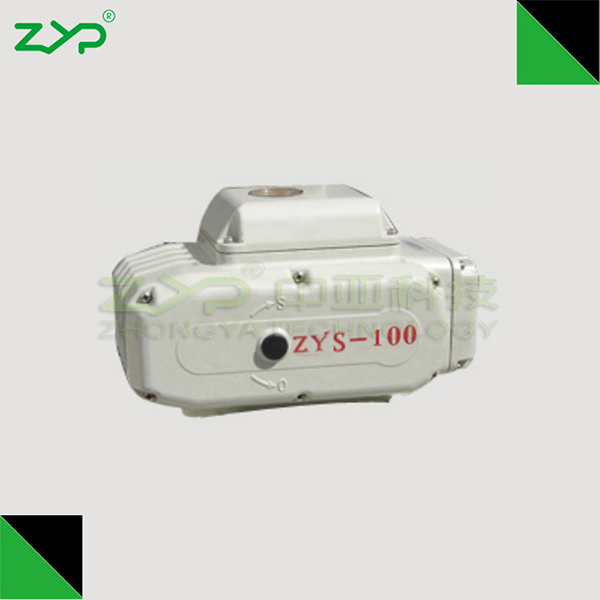 ZYS-100