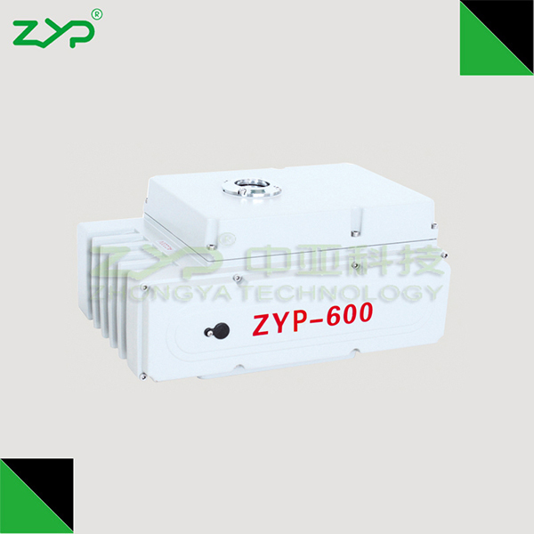 ZYP-600