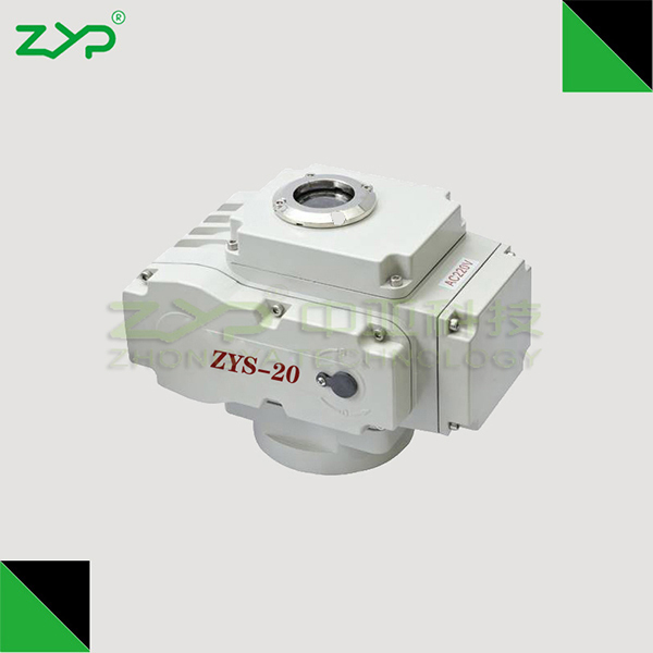 ZYS-20